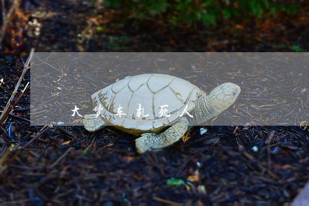 大货车轧死人 大货车轧死人