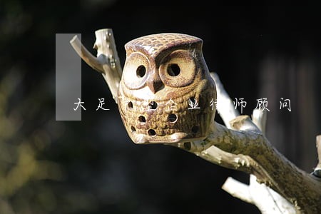 大足中型企业律师顾问 大足中型企业律师顾问
