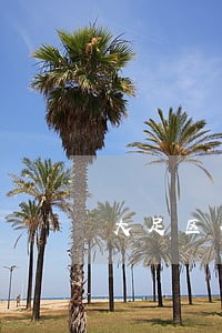 大足区企业法律咨询 大足区企业法律咨询