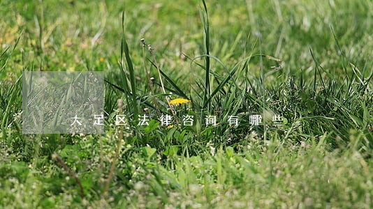 大足区法律咨询有哪些 大足区法律咨询有哪些