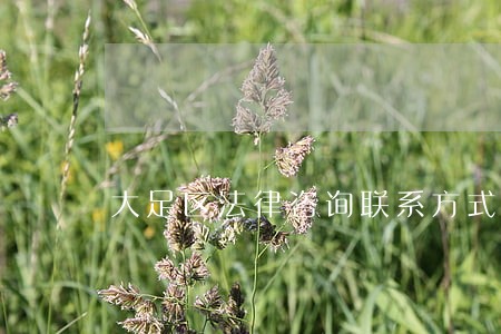 大足区法律咨询联系方式 大足区法律咨询联系方式