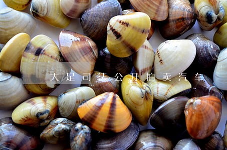大足司法公开拍卖汽车 大足司法公开拍卖汽车