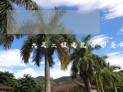 大足工程建筑律师查询 大足工程建筑律师查询