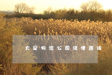 大足物流公司法律咨询 大足物流公司法律咨询