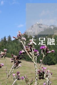 大足融资律师服务好