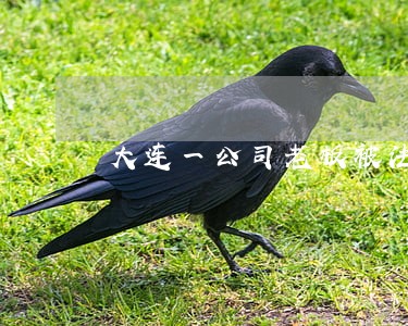 大连一公司老板被法院限制高消费 大连一公司老板被法院限制高消费