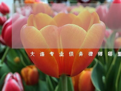 大连专业债务律师哪里找 大连专业债务律师哪里找