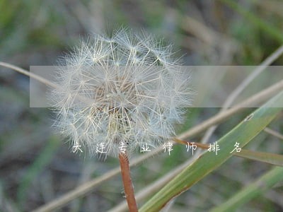 大连专业律师排名 大连专业律师排名