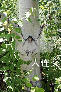 大连交警集中整治大货车违法 大连交警集中整治大货车违法