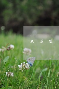 大连交通复议电话 大连交通复议电话