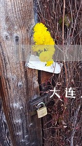 大连人保贷款逾期一天上征信吗 大连人保贷款逾期一天上征信吗
