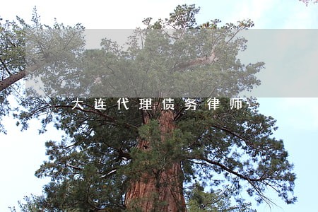 大连代理债务律师 大连代理债务律师