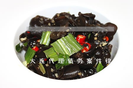 大连代理债务案件律师 大连代理债务案件律师