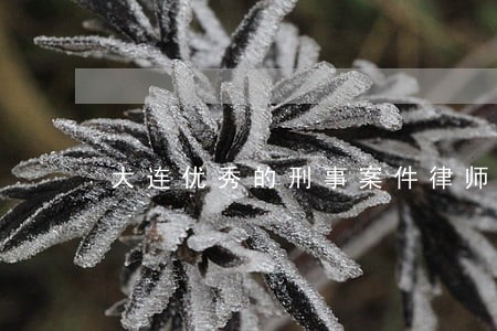 大连优秀的刑事案件律师联系方式 大连优秀的刑事案件律师联系方式