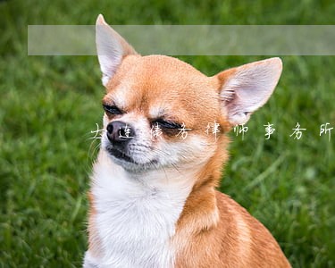 大连债务律师事务所朋信 大连债务律师事务所朋信