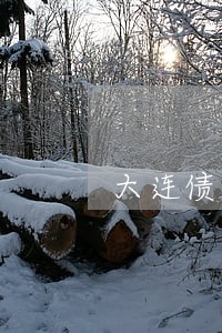大连债务律师朋信