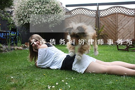 大连债务纠纷律师事务所排名