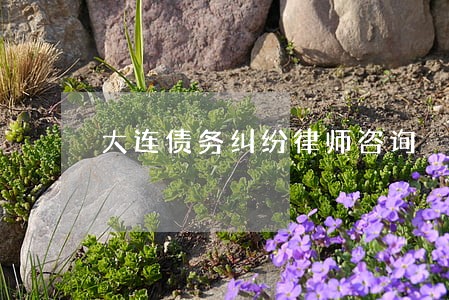 大连债务纠纷律师咨询 大连债务纠纷律师咨询