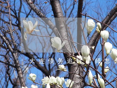 大连债务追讨律师怎么收费 大连债务追讨律师怎么收费