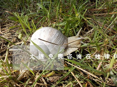 大连免费咨询在线律师 大连免费咨询在线律师
