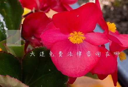 大连免费法律咨询在哪 大连免费法律咨询在哪