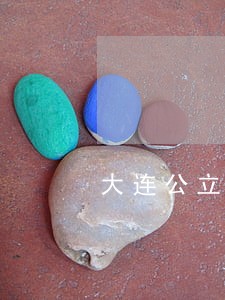 大连公立学校有几个司法学院 大连公立学校有几个司法学院