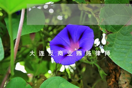 大连反商业贿赂律师 大连反商业贿赂律师