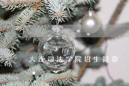 大连司法学院招生简章 大连司法学院招生简章