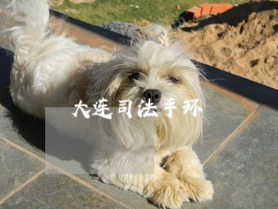 大连司法手环 大连司法手环