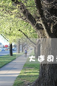 大连司法拍卖网站 大连司法拍卖网站