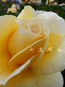 大连司法改革完成了么 大连司法改革完成了么