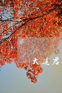 大连君融贷逾期有没有人报警 大连君融贷逾期有没有人报警