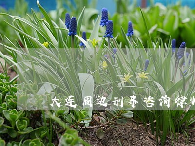 大连周边刑事咨询律师费 大连周边刑事咨询律师费