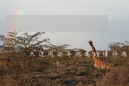 大连周边异地离婚律师团 大连周边异地离婚律师团