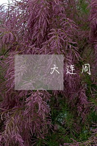 大连周边房产买卖纠纷律师收费 大连周边房产买卖纠纷律师收费