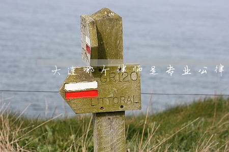 大连哪个律师是专业公律师 大连哪个律师是专业公律师