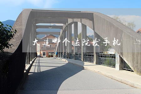 大连哪个法院发手机
