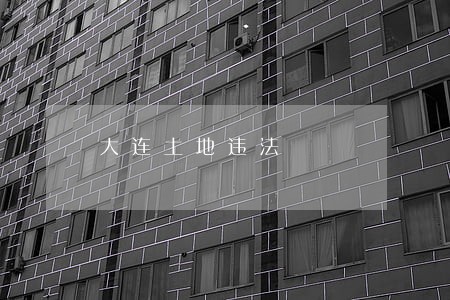 大连土地违法 大连土地违法