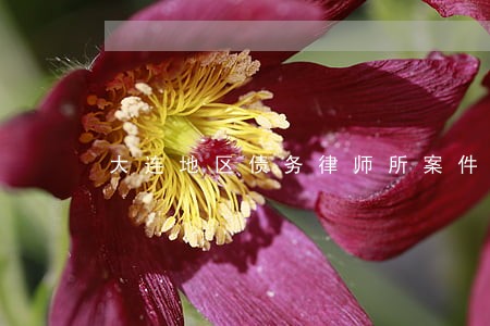 大连地区债务律师所案件咨询 大连地区债务律师所案件咨询