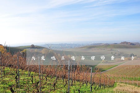 大连地区债务律师费用多少 大连地区债务律师费用多少