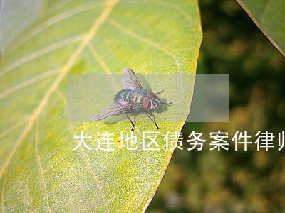 大连地区债务案件律师事务所 大连地区债务案件律师事务所