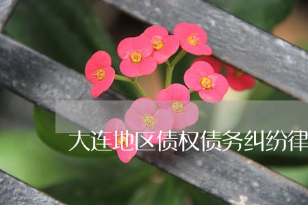 大连地区债权债务纠纷律师介绍 大连地区债权债务纠纷律师介绍