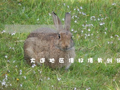 大连地区债权债务纠纷律师所 大连地区债权债务纠纷律师所