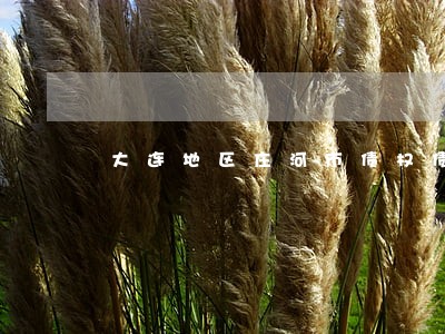 大连地区庄河市债权债务纠纷律师 大连地区庄河市债权债务纠纷律师