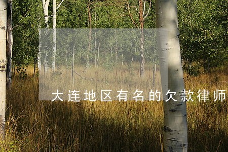 大连地区有名的欠款律师 大连地区有名的欠款律师