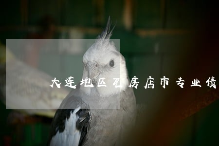 大连地区瓦房店市专业债务律师 大连地区瓦房店市专业债务律师