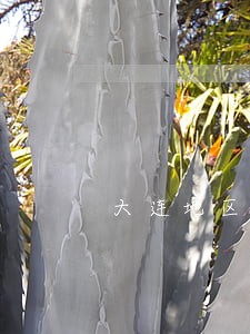 大连地区甘井子区债务律师 大连地区甘井子区债务律师