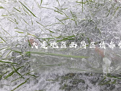 大连地区西岗区债务律师团队 大连地区西岗区债务律师团队