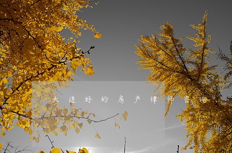 大连好的房产律师咨询 大连好的房产律师咨询