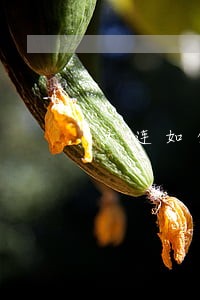 大连如何委托律师办理离婚 大连如何委托律师办理离婚